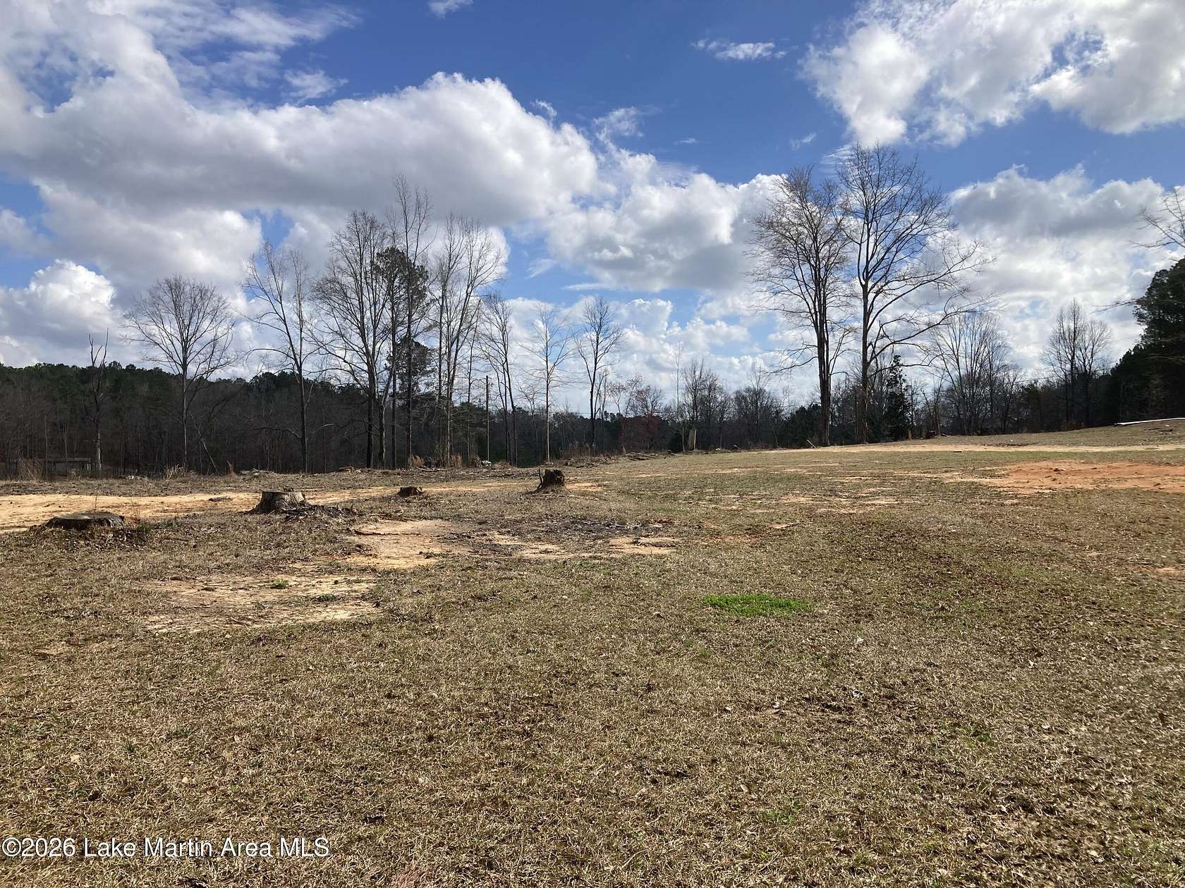 10 Acres of Residential Land for Sale in Kellyton, Alabama