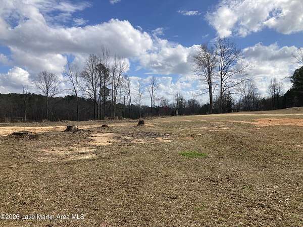 10 Acres of Residential Land for Sale in Kellyton, Alabama