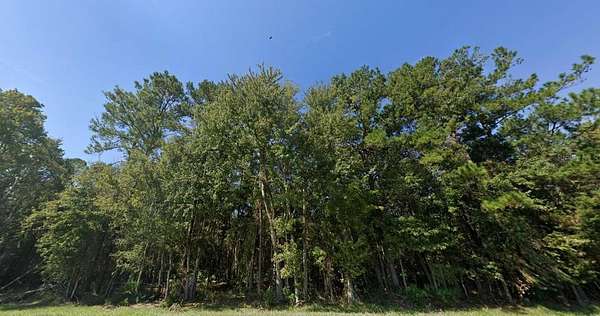 11 Acres of Land for Sale in Waldo, Florida