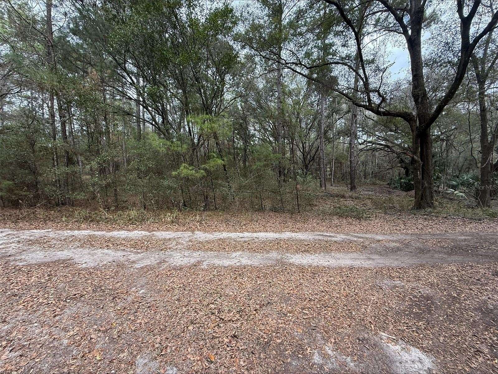 0.46 Acres of Residential Land for Sale in Ocala, Florida