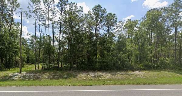 0.35 Acres of Residential Land for Sale in Webster, Florida