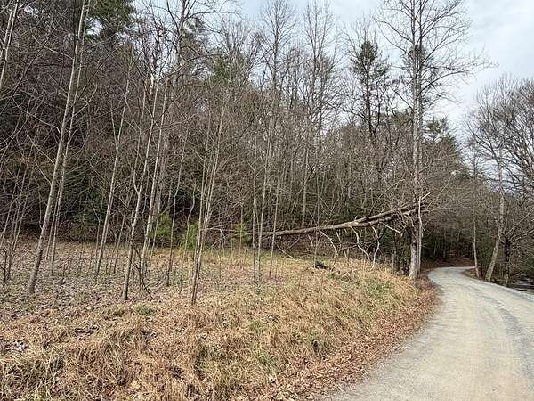 3.1 Acres of Land for Sale in Ellijay, Georgia