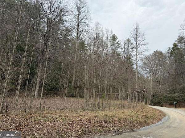 3.1 Acres of Land for Sale in Ellijay, Georgia