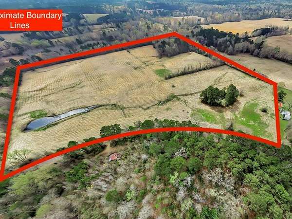 41.3 Acres of Land for Sale in Huntington, Texas