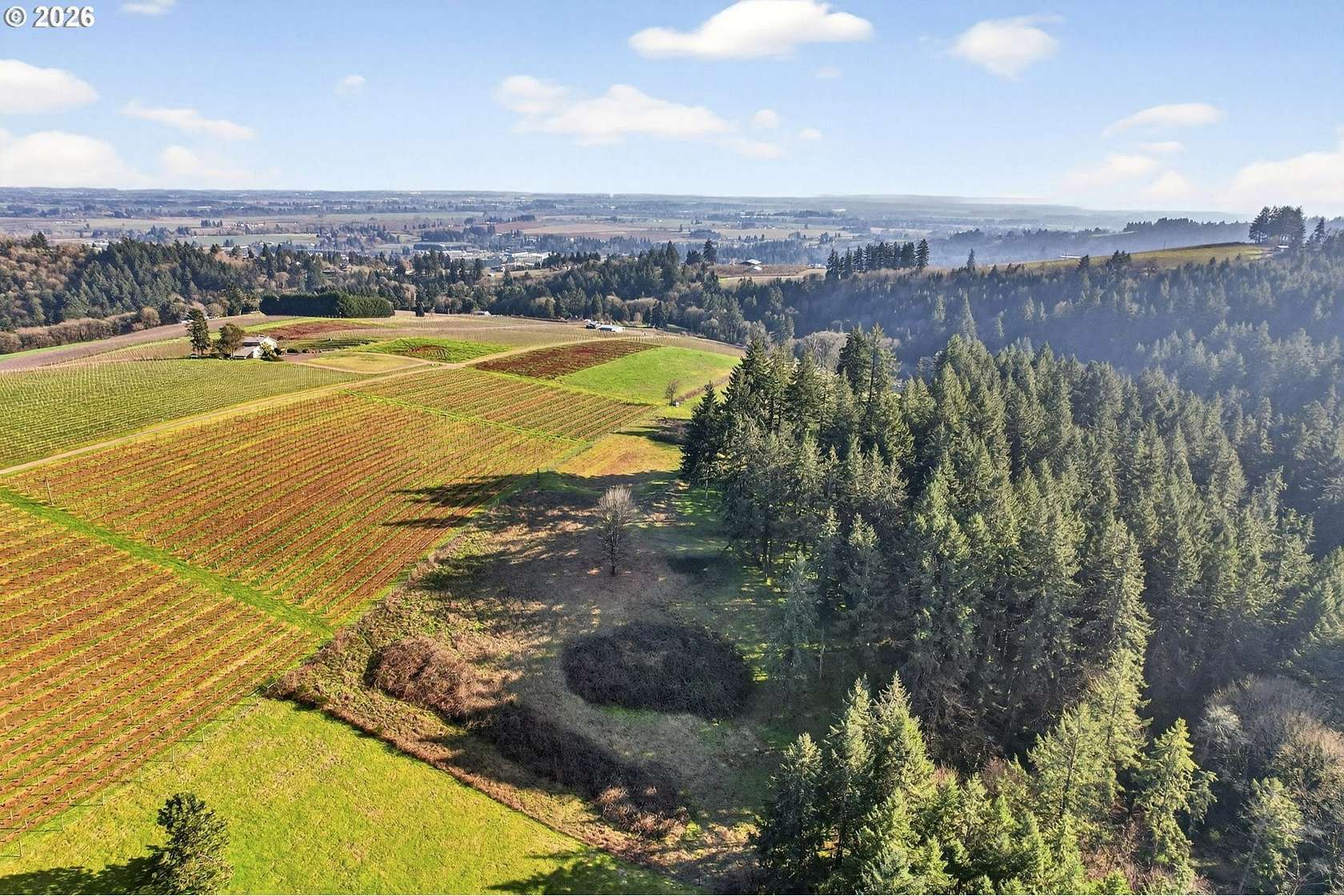 5 Acres of Residential Land for Sale in Dundee, Oregon