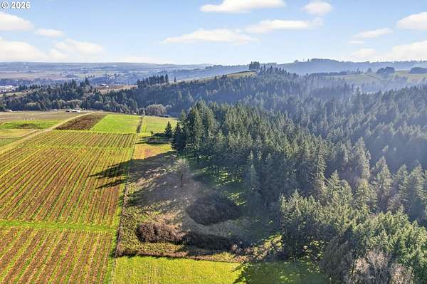 5 Acres of Residential Land for Sale in Dundee, Oregon