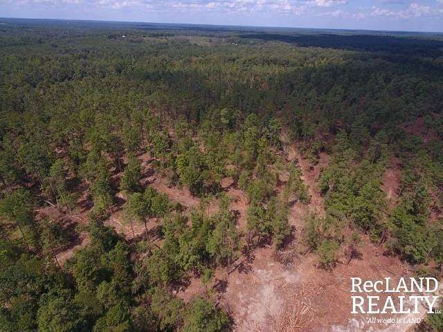 157 Acres of Recreational & Residential Land for Sale in Indian Village, Louisiana