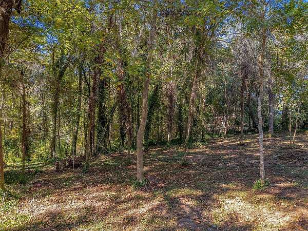 0.36 Acres of Residential Land for Sale in Tallahassee, Florida