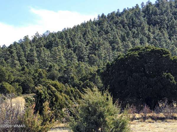 8.37 Acres of Residential Land for Sale in Vernon, Arizona