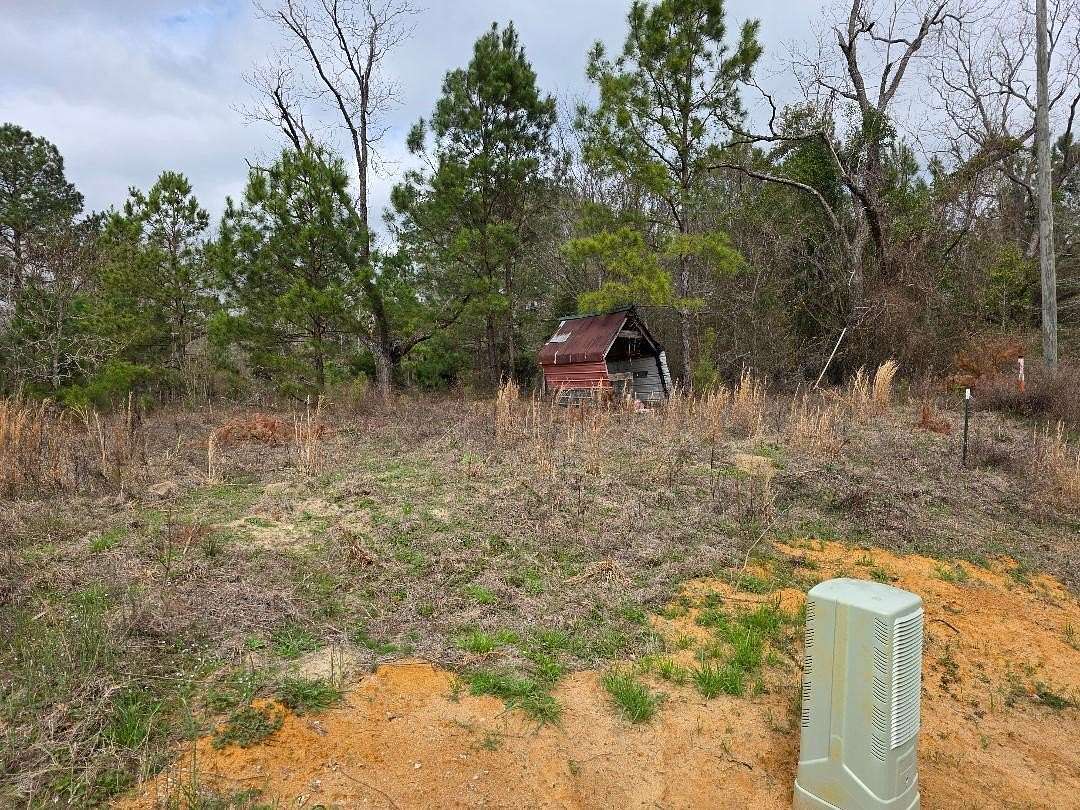1 Acre of Land for Sale in Sardis, Georgia