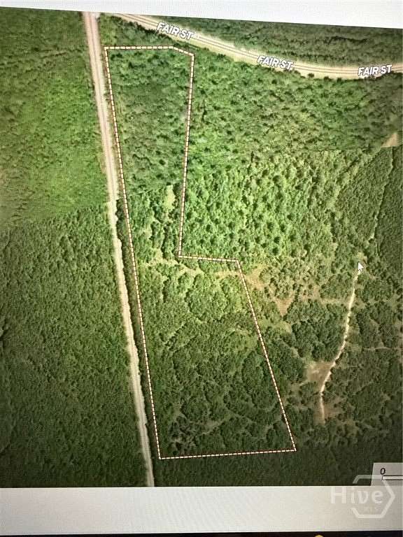 17 Acres of Land for Sale in Clyo, Georgia