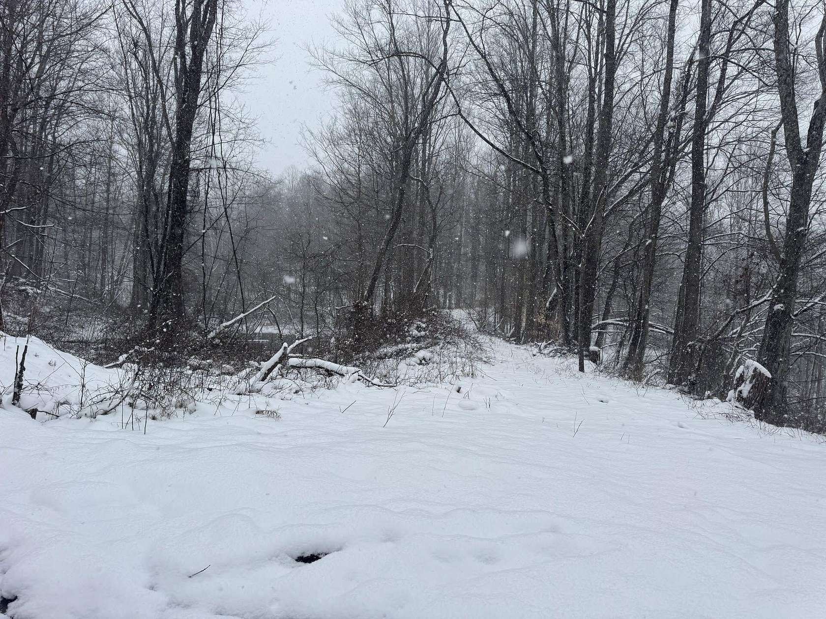 9.35 Acres of Land for Sale in Pax, West Virginia