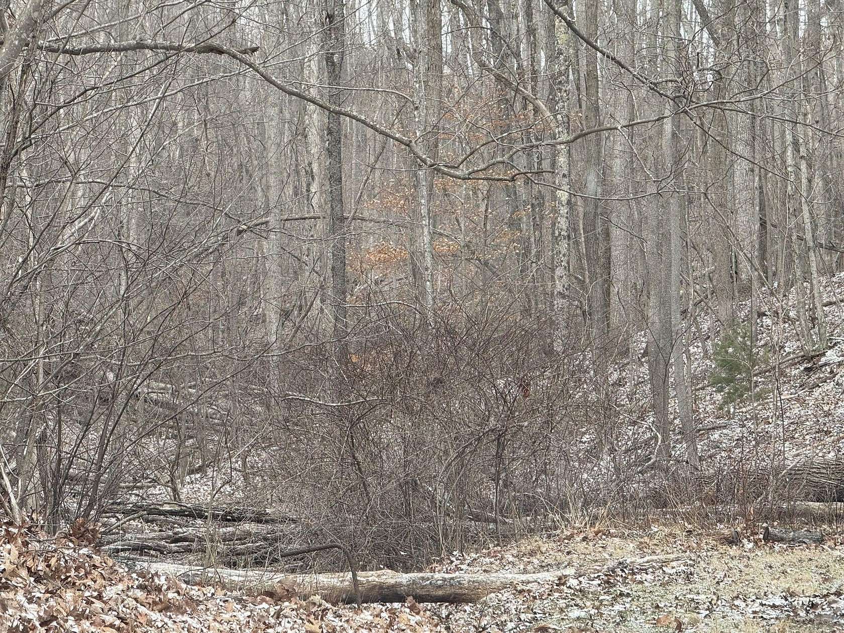 1 Acre of Land for Sale in Bluefield, West Virginia