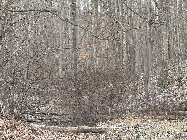 1 Acre of Land for Sale in Bluefield, West Virginia