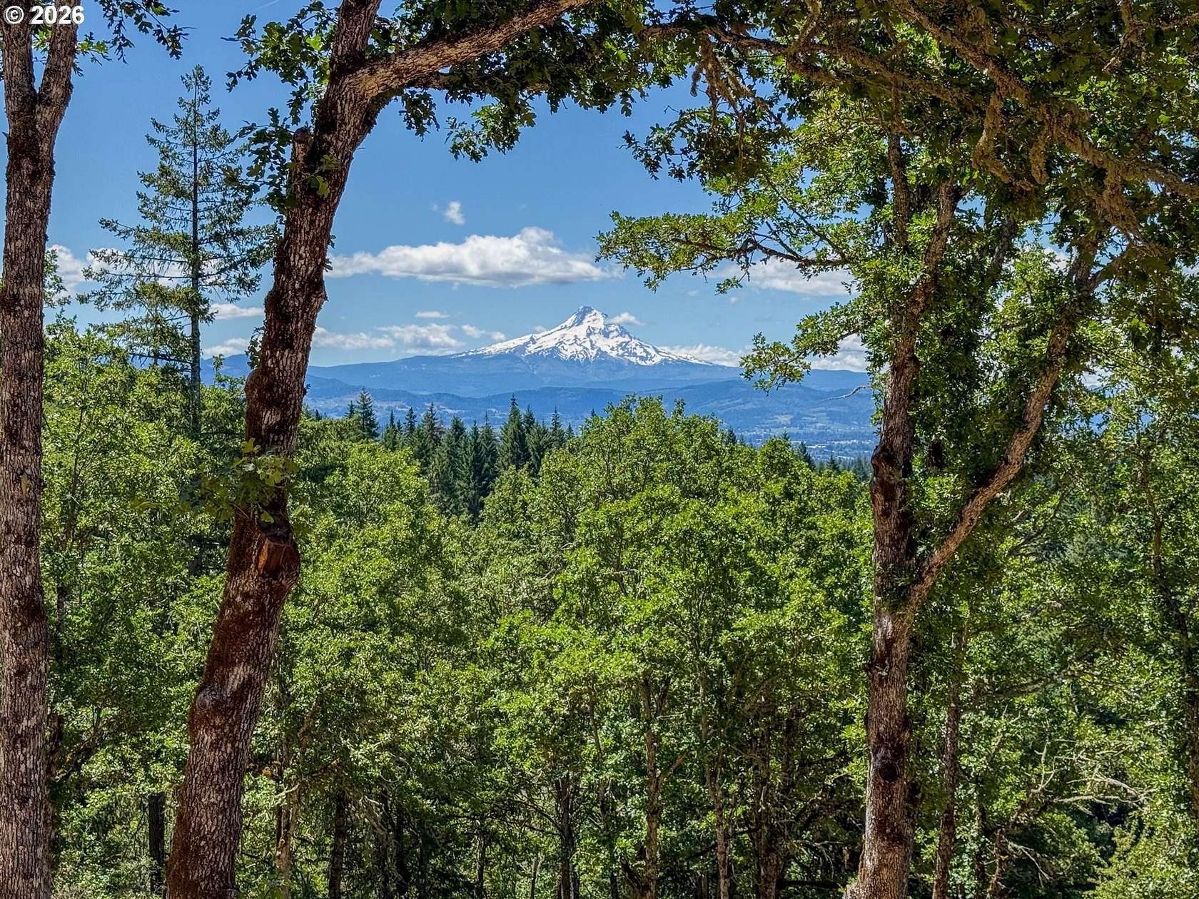 5.3 Acres of Residential Land for Sale in White Salmon, Washington