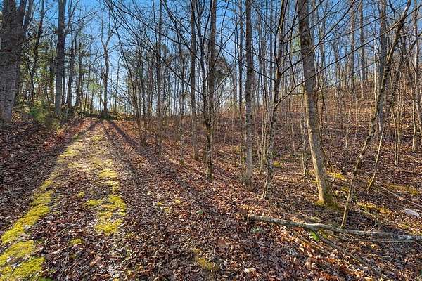 1.37 Acres of Land for Sale in Franklin, North Carolina
