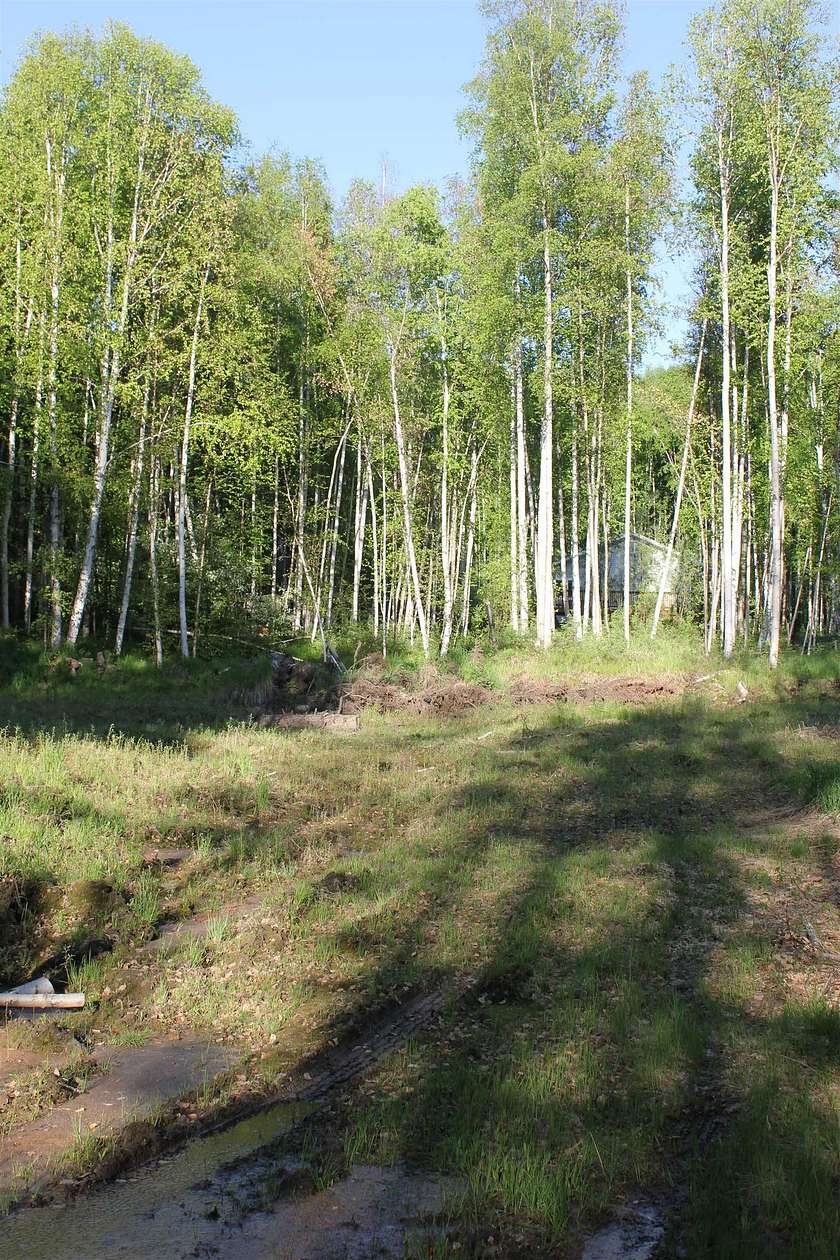 1 Acre of Land for Sale in Fairbanks, Alaska