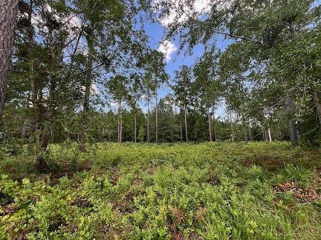 0.5 Acres of Residential Land for Sale in Brunswick, Georgia