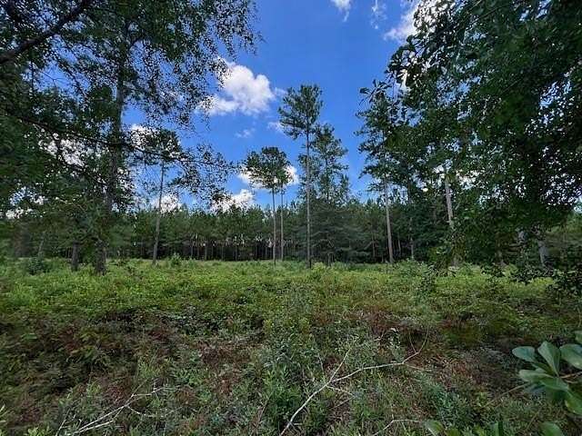 0.5 Acres of Residential Land for Sale in Brunswick, Georgia