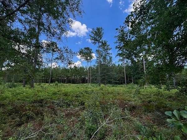 0.5 Acres of Residential Land for Sale in Brunswick, Georgia