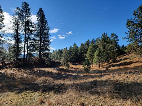 1.83 Acres of Land for Sale in Republic, Washington