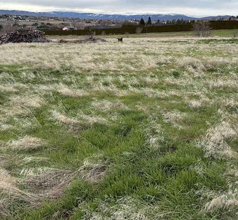 9.74 Acres of Residential Land for Sale in Yakima, Washington