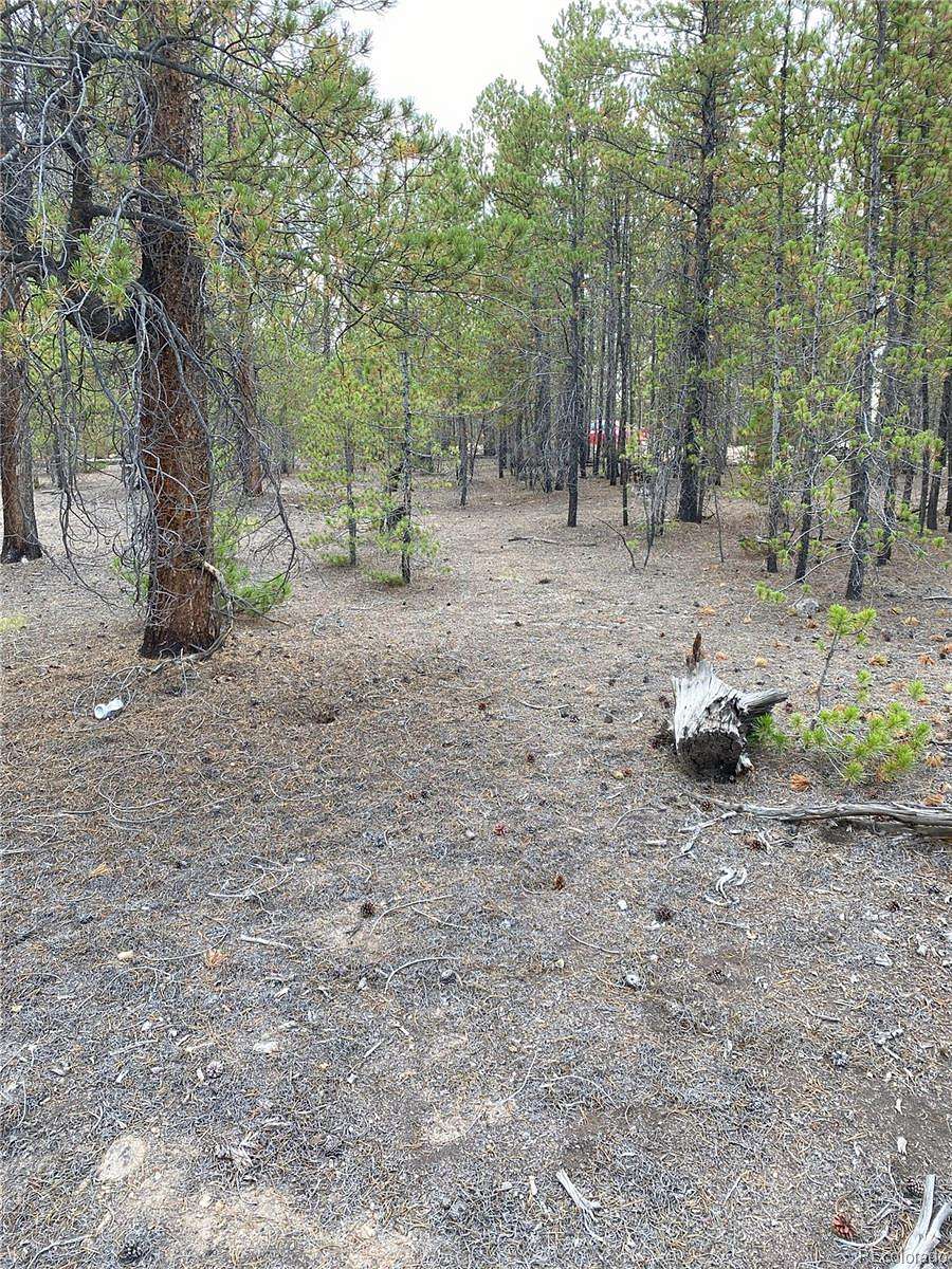 0.3 Acres of Residential Land for Sale in Twin Lakes, Colorado