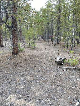 0.3 Acres of Residential Land for Sale in Twin Lakes, Colorado