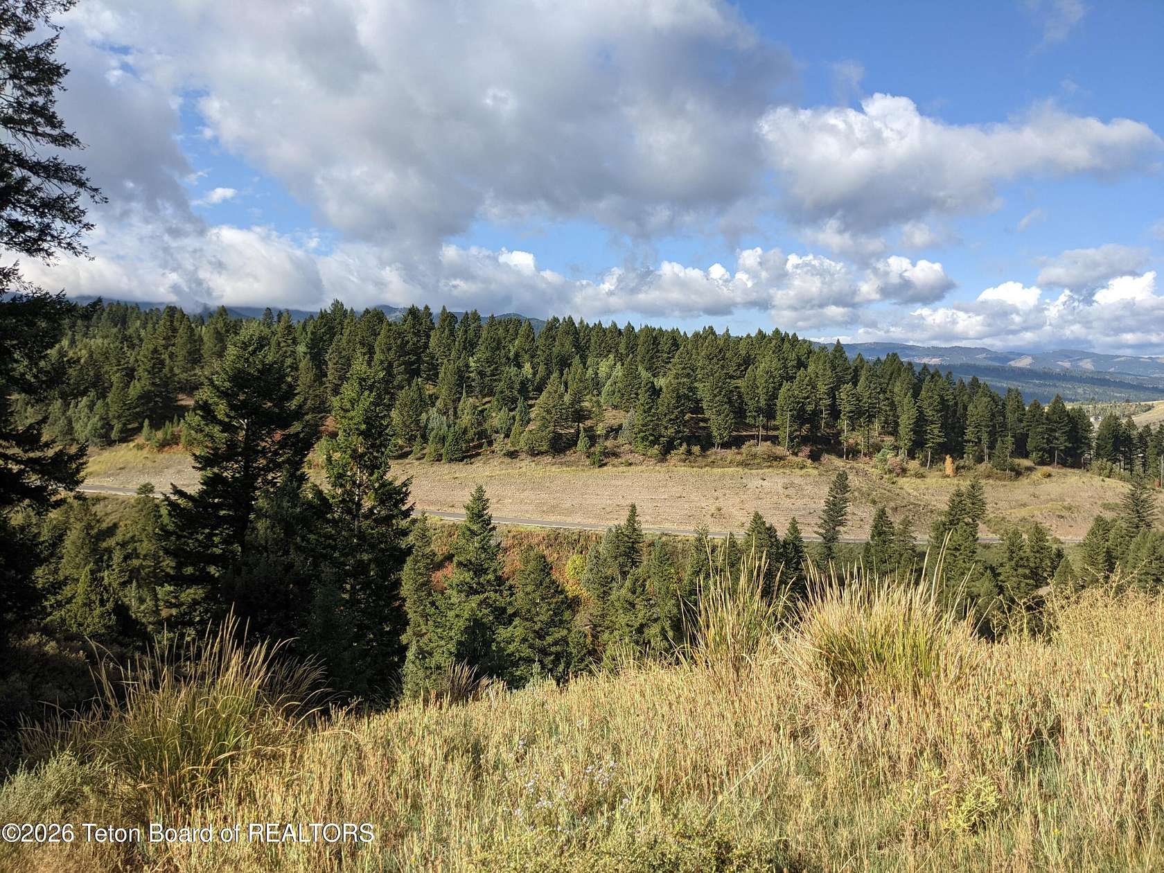 4.9 Acres of Residential Land for Sale in Irwin, Idaho
