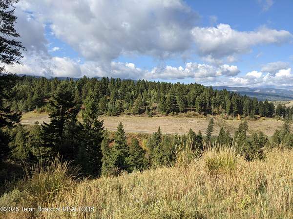 4.9 Acres of Residential Land for Sale in Irwin, Idaho
