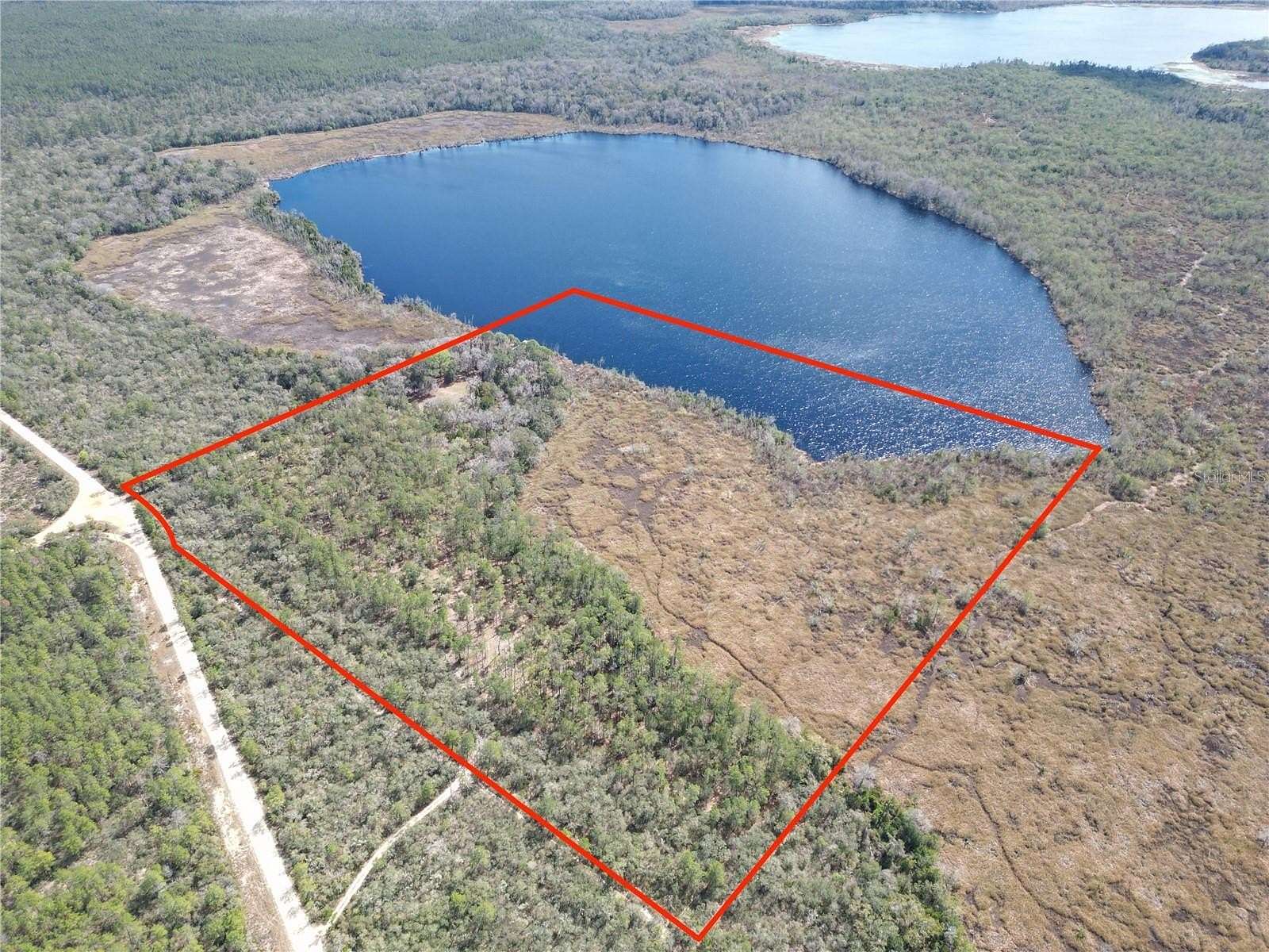 40.4 Acres of Land for Sale in Silver Springs, Florida