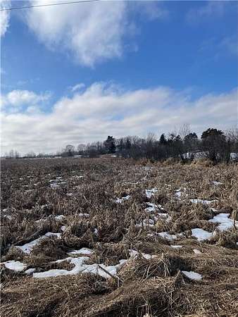 20 Acres of Land for Sale in Braham, Minnesota