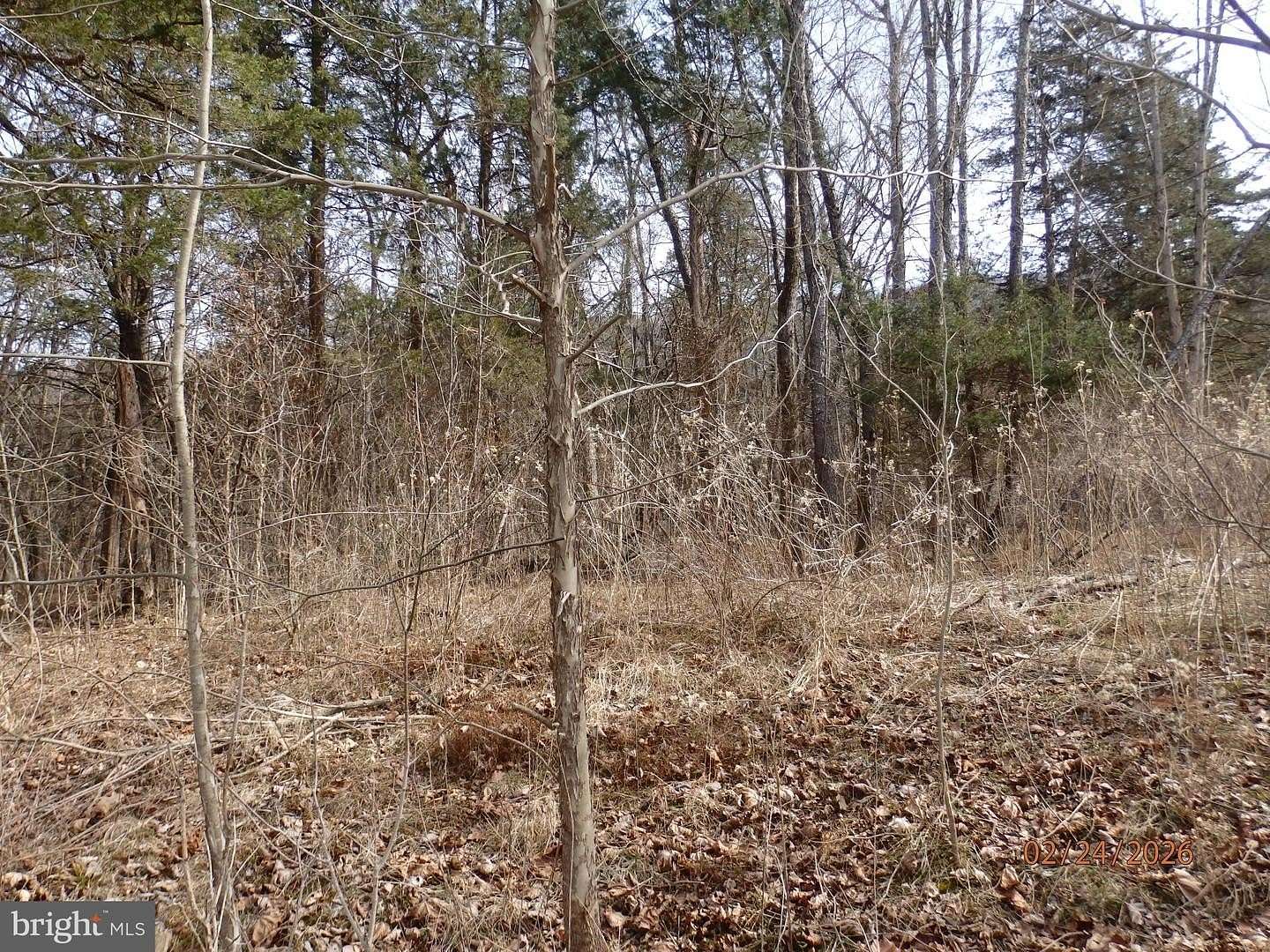 0.69 Acres of Residential Land for Sale in Woodstock, Virginia