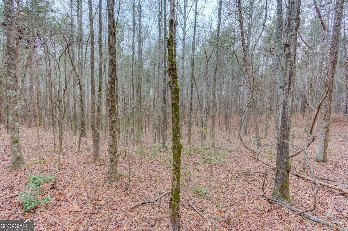 9.43 Acres of Land for Sale in Toccoa, Georgia
