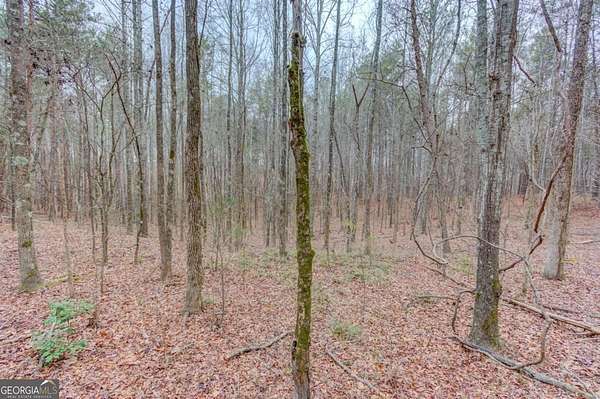 9.43 Acres of Land for Sale in Toccoa, Georgia