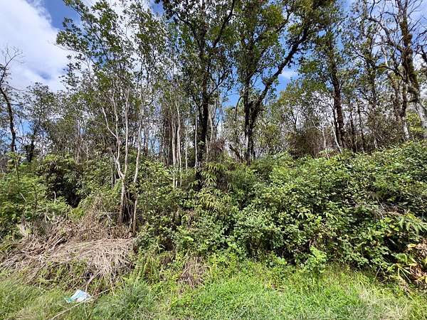 1 Acre of Residential Land for Sale in Mountain View, Hawaii