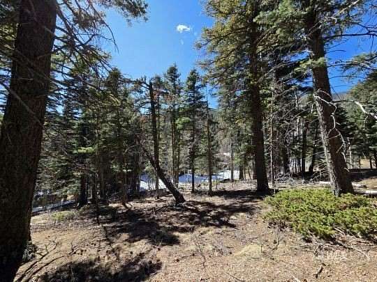 0.68 Acres of Residential Land for Sale in Rye, Colorado