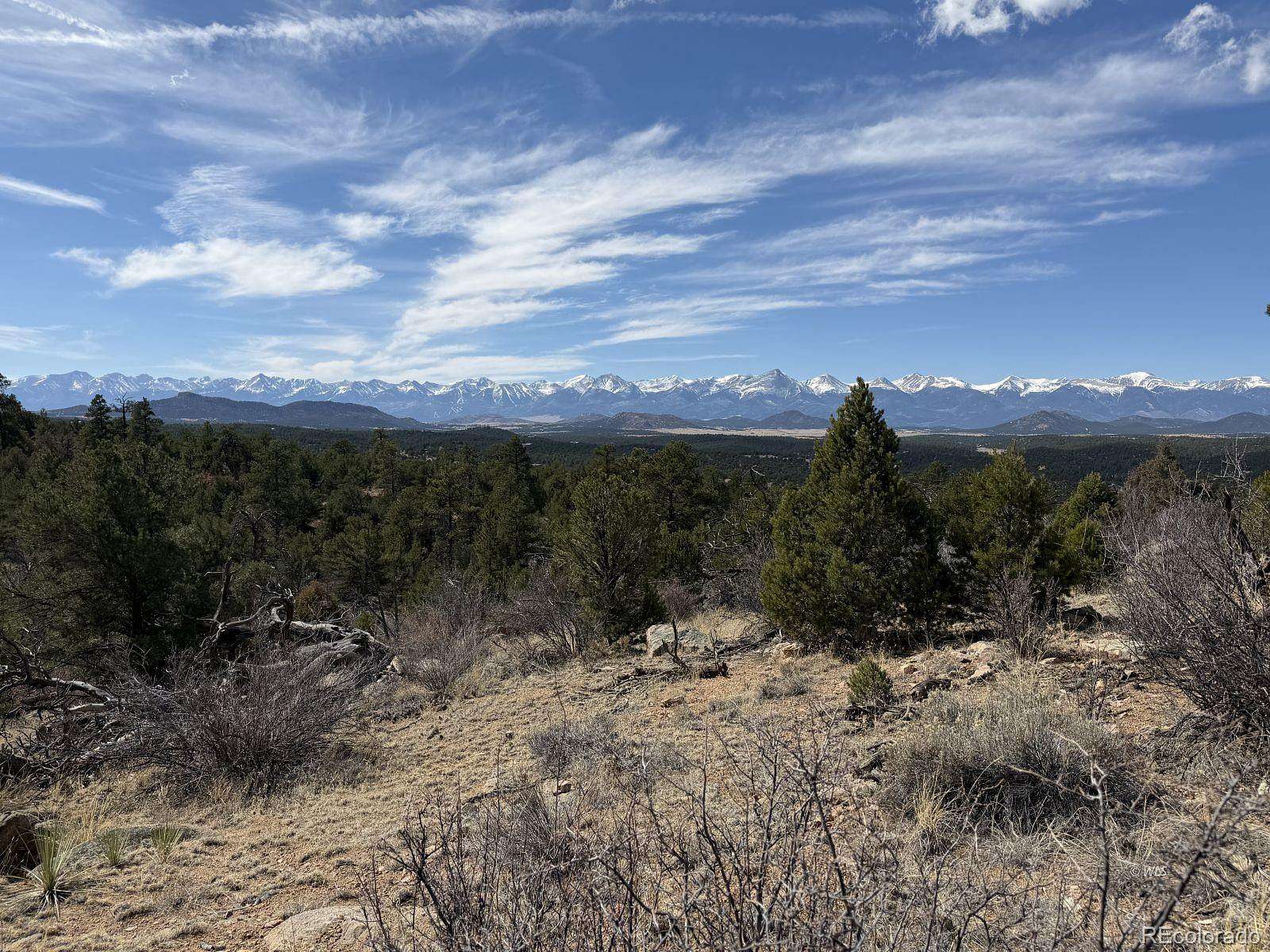35.3 Acres of Land for Sale in Texas Creek, Colorado
