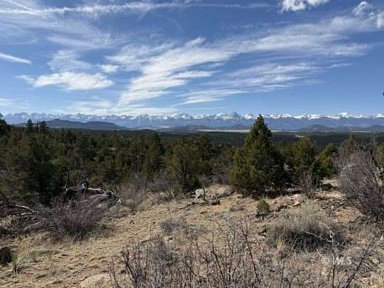 35.3 Acres of Land for Sale in Texas Creek, Colorado