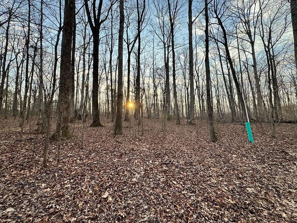 3 Acres of Land for Sale in Hamilton, Georgia