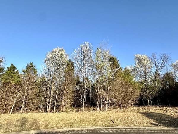 3 Acres of Residential Land for Sale in Nixa, Missouri
