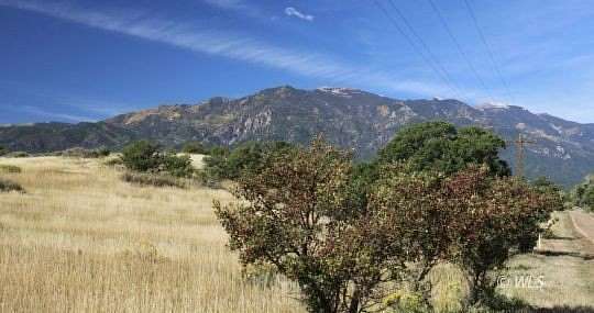 1.2 Acres of Residential Land for Sale in Colorado City, Colorado