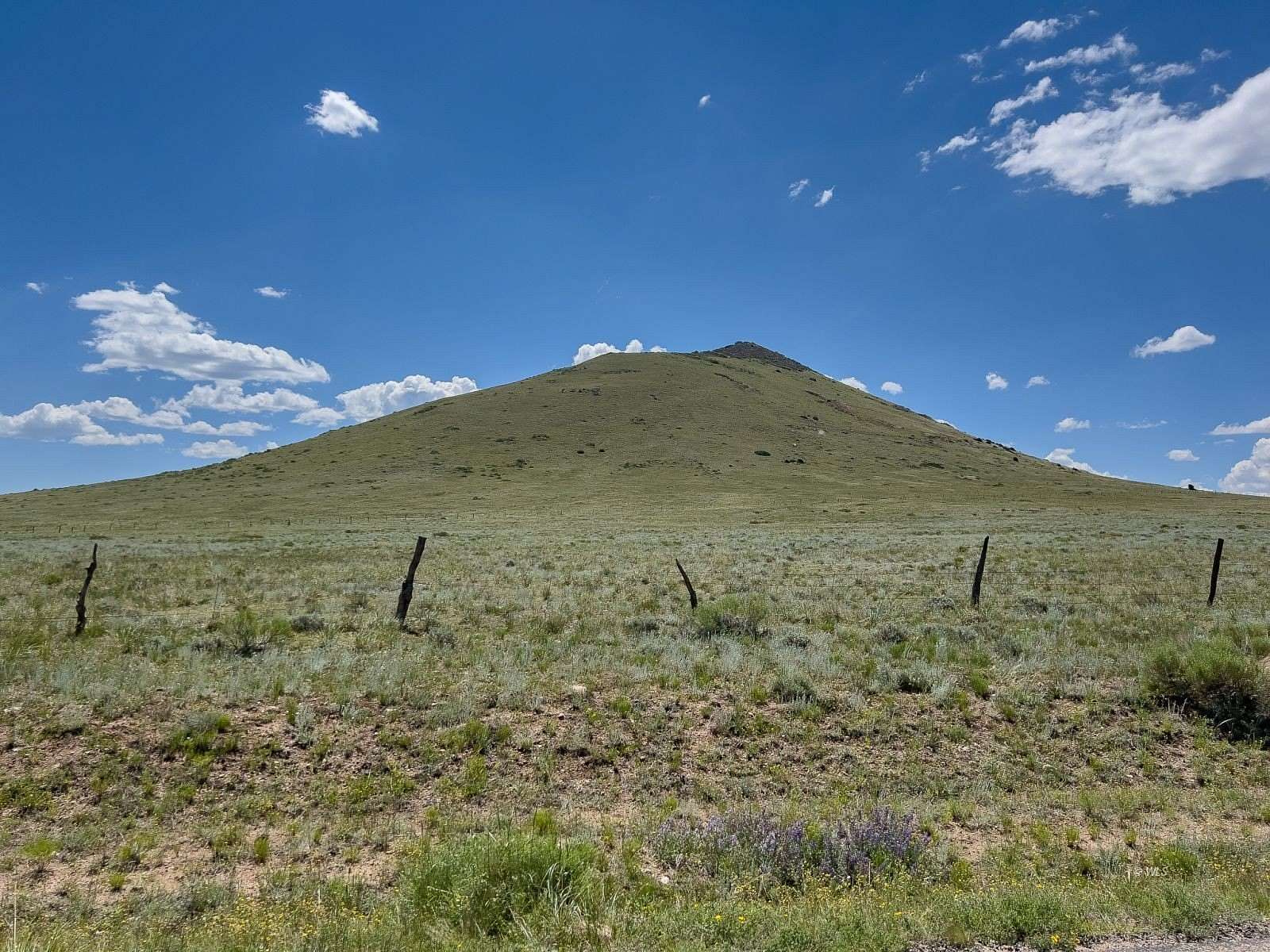 66.1 Acres of Recreational & Residential Land for Sale in Westcliffe, Colorado