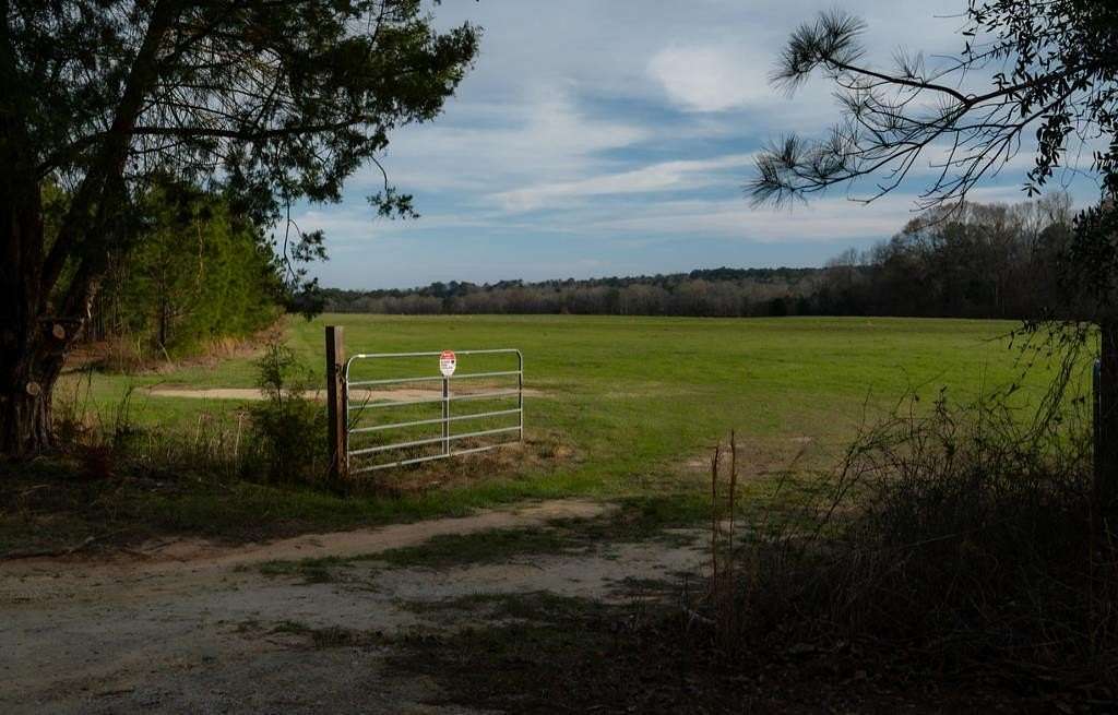 113 Acres of Land for Sale in Abbeville, Alabama