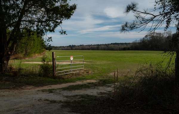 113 Acres of Land for Sale in Abbeville, Alabama