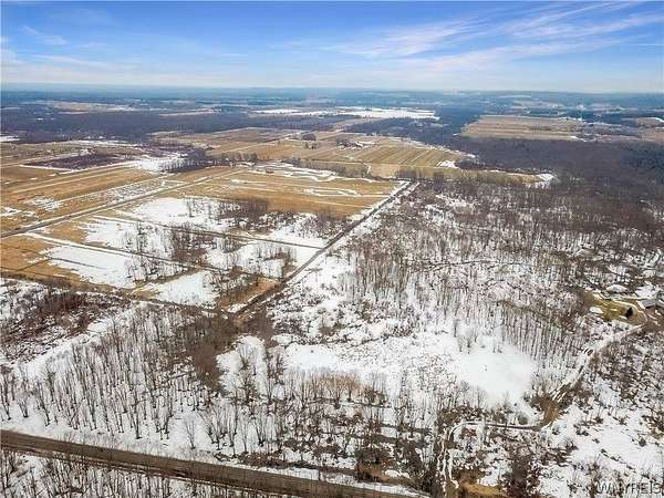 106 Acres of Recreational Land for Sale in Dayton, New York