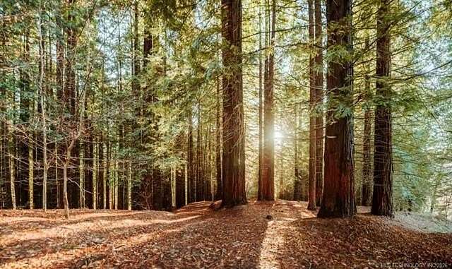 28.5 Acres of Recreational Land for Sale in Wilson, Oklahoma