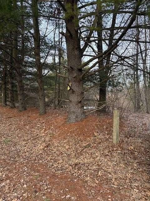 8.48 Acres of Residential Land for Sale in Greenville, Michigan