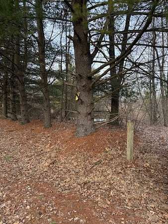 8.48 Acres of Residential Land for Sale in Greenville, Michigan