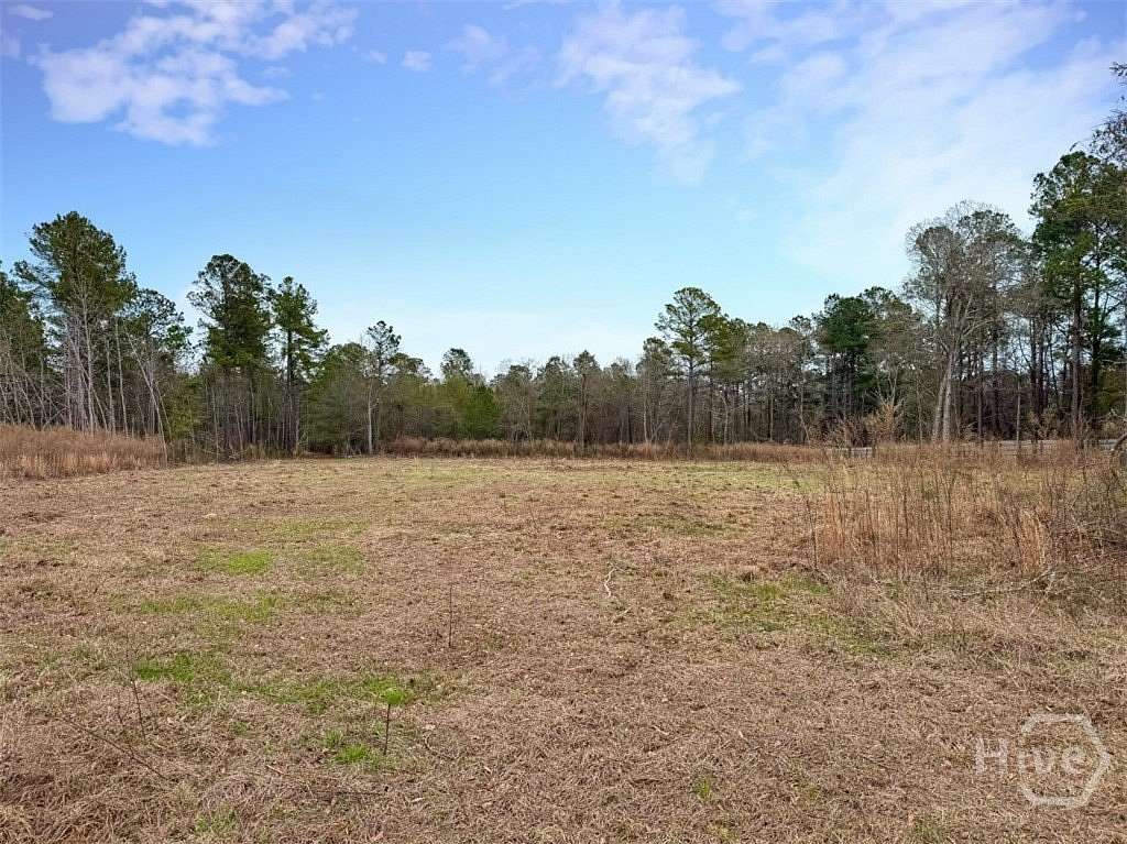 19.3 Acres of Commercial Land for Sale in Sylvania, Georgia